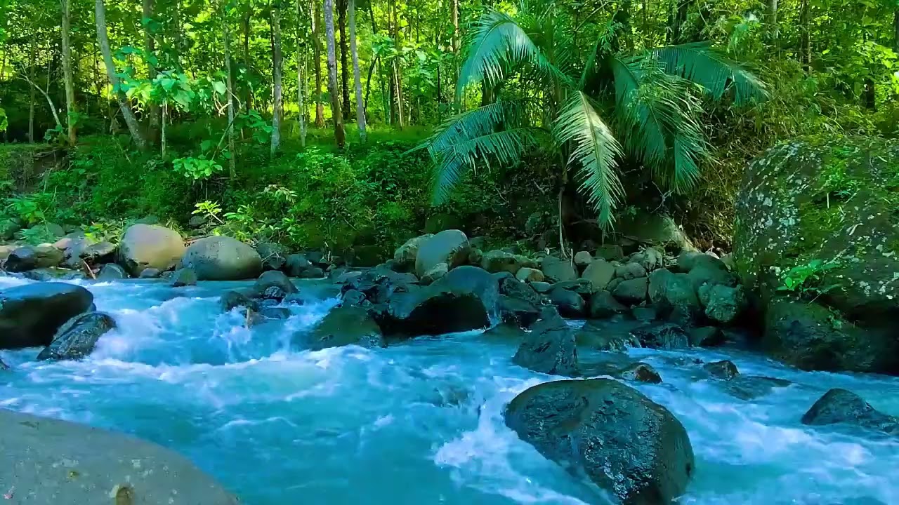 Instant Peace of Mind - River Water, Relaxing Sounds and Relieves Anxiety
