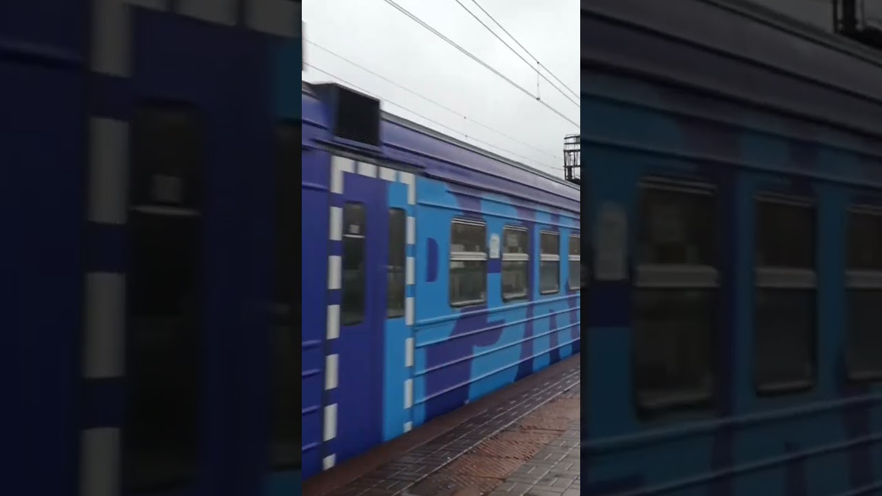 Эд4м 0399 Синий Рекс экспресс на платформе варшавская 