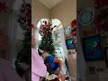 Christmas Tree Decorating #christmas #christmasdecorations #holidaydecor #wintertree