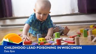 Childhood Lead Data Byte