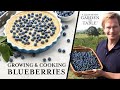 How to Plant, Store, and Cook Blueberries | Garden to Table (102)