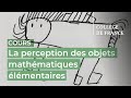 La perception des objets mathmatiques lmentaires 2  stanislas dehaene 20232024