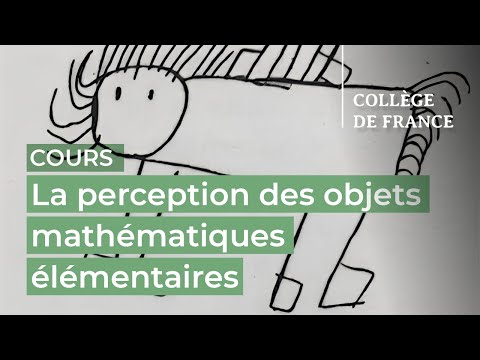 La perception des objets mathématiques élémentaires... (2) - Stanislas Dehaene (2023-2024)
