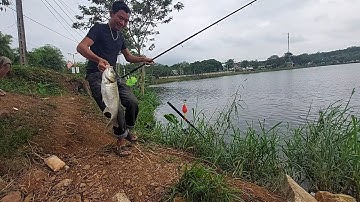 CHIA SẺ KINH NGHIỆM VÀ CHỌN THỜI TIẾT CÂU CÁ MÈ HIỆU QUẢ | Trọng Chất TV
