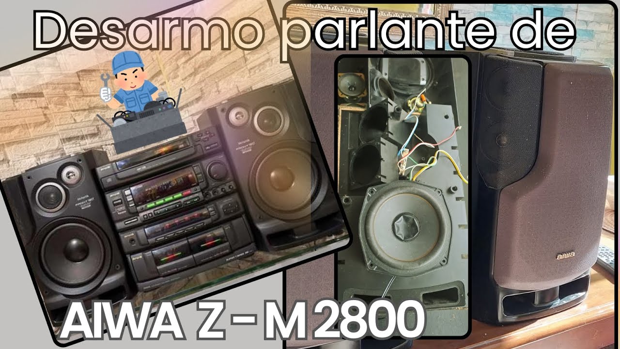 I found this AIWA Z-M2800 speaker and took it apart