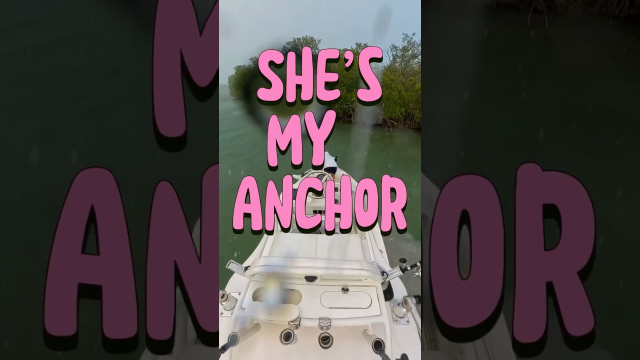 Love when we have to seek safe harbor 🤪🤪🤪 