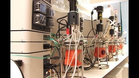 Bioprocess Engineering Strategies for Stem Cell-based Therapies and Regenerative Medicine