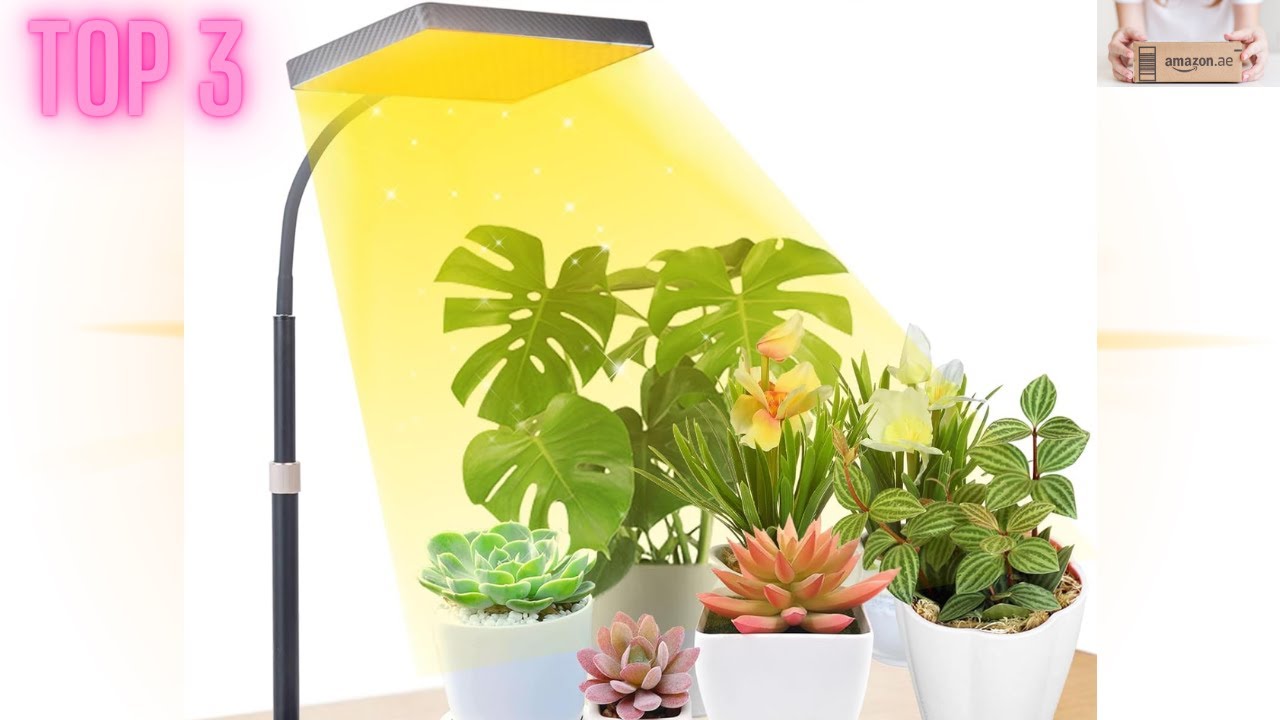 Top 3 des Meilleures Lampes LED pour Vos Plantes d'Intérieur en 2025 !