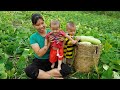 Single mom  harvest gourds goes to the market sell make stairs and railings small family life