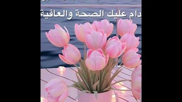 ما تيسر من سورة التوبة رواية قالون
