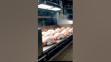 This AI is INSANE (Part 11)