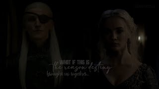 aemond targaryen and visenya targaryen (au) - what if this is the reason destiny brought us together