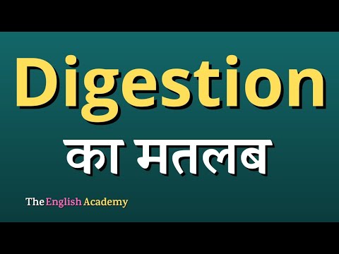 Digestion Meaning In Hindi | Digestion Ka Matlab - YouTube