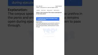 Function of Corpus Spongiosum in Male Penis Biology 12th