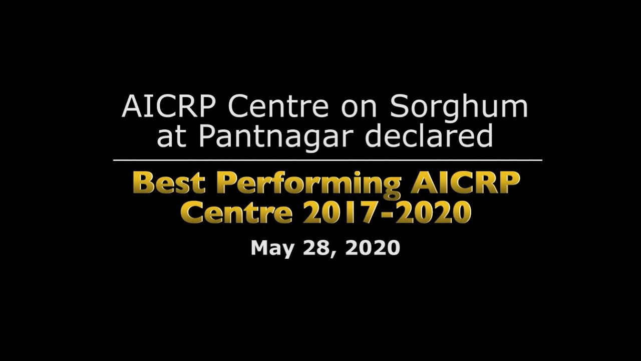 Pantnagar awarded Best Performing Sorghum AICRP 2017-2020