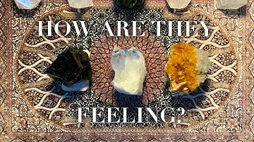 🌿✨How ARE they THINKING & FEELING for YOU? 💫 Next Move + Future | Pick a Card Love Tarot Reading ✨🌿
