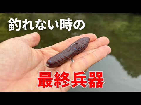 バス釣り】人気が落ちない、カバースキャットはやはり最強でした、、他