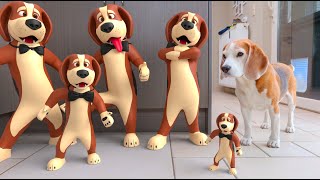 Animations in REAL LIFE vs PUPPY : Louie The Beagle
