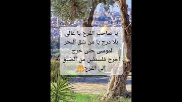 #آيات من سورة الفتح# بصوت عبد الرحمن مسعد# يارب يا مفرج الهم فرج كرب اخوننا في فلسطين