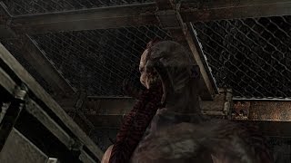 Resident Evil 4: Chapter 5-3b (Treasures, Yellow Herbs)
