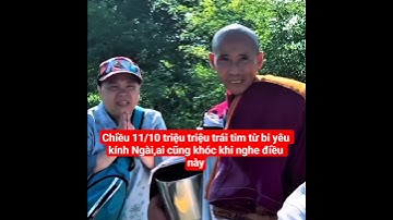 chiều 11/10 triệu triệu trái tim từ bi yêu kính Ngài,ai cũng khóc#suminhtue #shortvideo