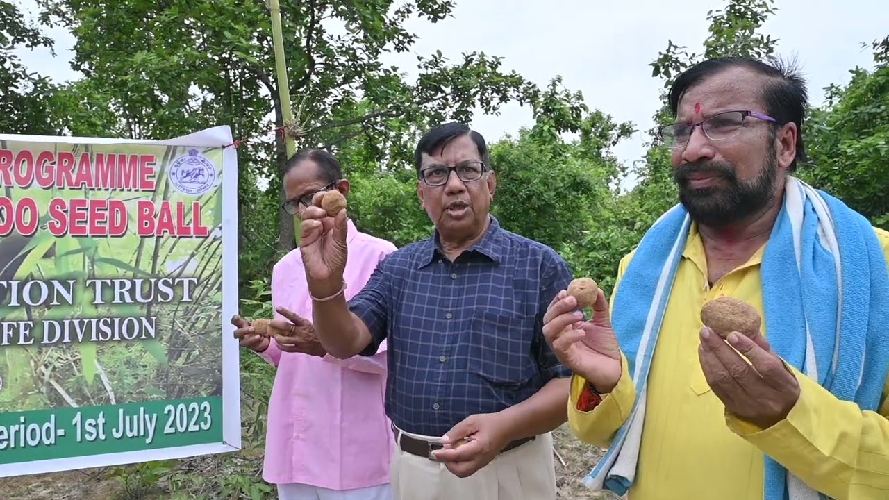 SAVE ELEPHANT FOUNDATION TRUST