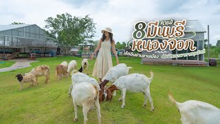 8 คาเฟ่มีนบุรี-หนองจอก เช็คอินย่านชานเมือง| Tripgether