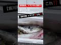 哀川翔が超高級魚に驚愕‼️ #shorts #釣り