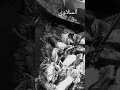 Щ ЩѓШЄЩ Щ ШіЩ Ш Щ вЃ вњЊпёЏвЃ вЃ вњЊпёЏвЃ ШЇШ Щ ЩѓШЄЩ Щ ШіЩ Ш Щ вЃ вњЊпёЏвЃ вЃ вњЊпёЏвЃ ШЇШ