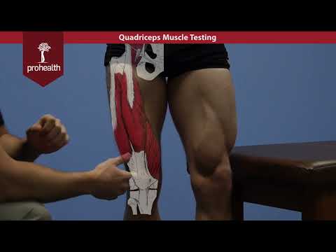 Quadriceps Muscle Test