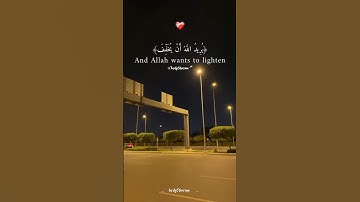 استورى والله يريد ان يتوب عليكم ويريد الذين يتبعون الشهوات ما تيسر من سوره النساء "للقارئ" طارق محمد
