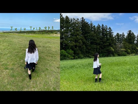 채소 채와 제주여행 ep.3 I 카페 진정성, 동문시장, 우진해장국, 아침미소목장, 커피템플, 43공원, 웨딩스팟언덕, 절물자연휴양림, 함덕서우봉해변