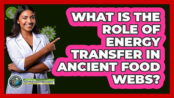 What Is The Role Of Energy Transfer In Ancient Food Webs? - Earth Science Answers