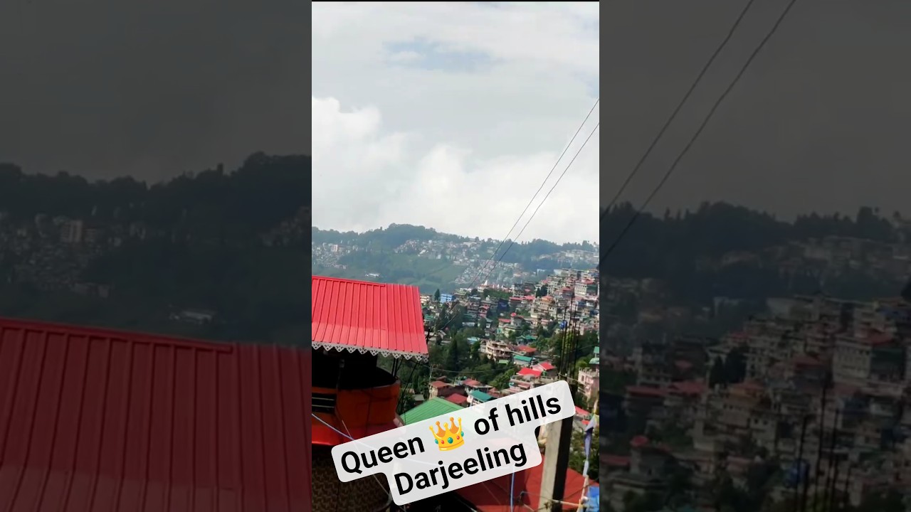 darjeeling tour in slow travler & buject traveler  #minivlog #travel #vlog