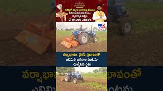 వర్షాభావం, వైరస్‌ ప్రభావంతో ఎనిమిది ఎకరాల పంటను దున్నేసిన రైతు -TV9