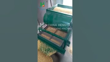 grain linear sieving machine