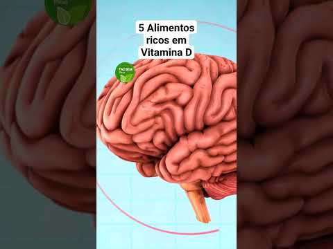 Vídeo: Quais cogumelos são ricos em vitamina d?