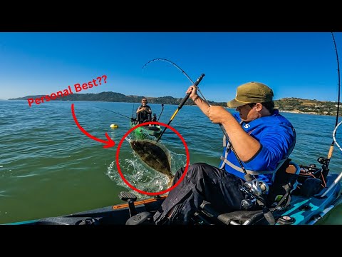 Our Biggest Live Bait HALIBUT So Far | Bay Area Fishing