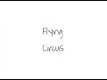 ロードムービー / Flying Circus