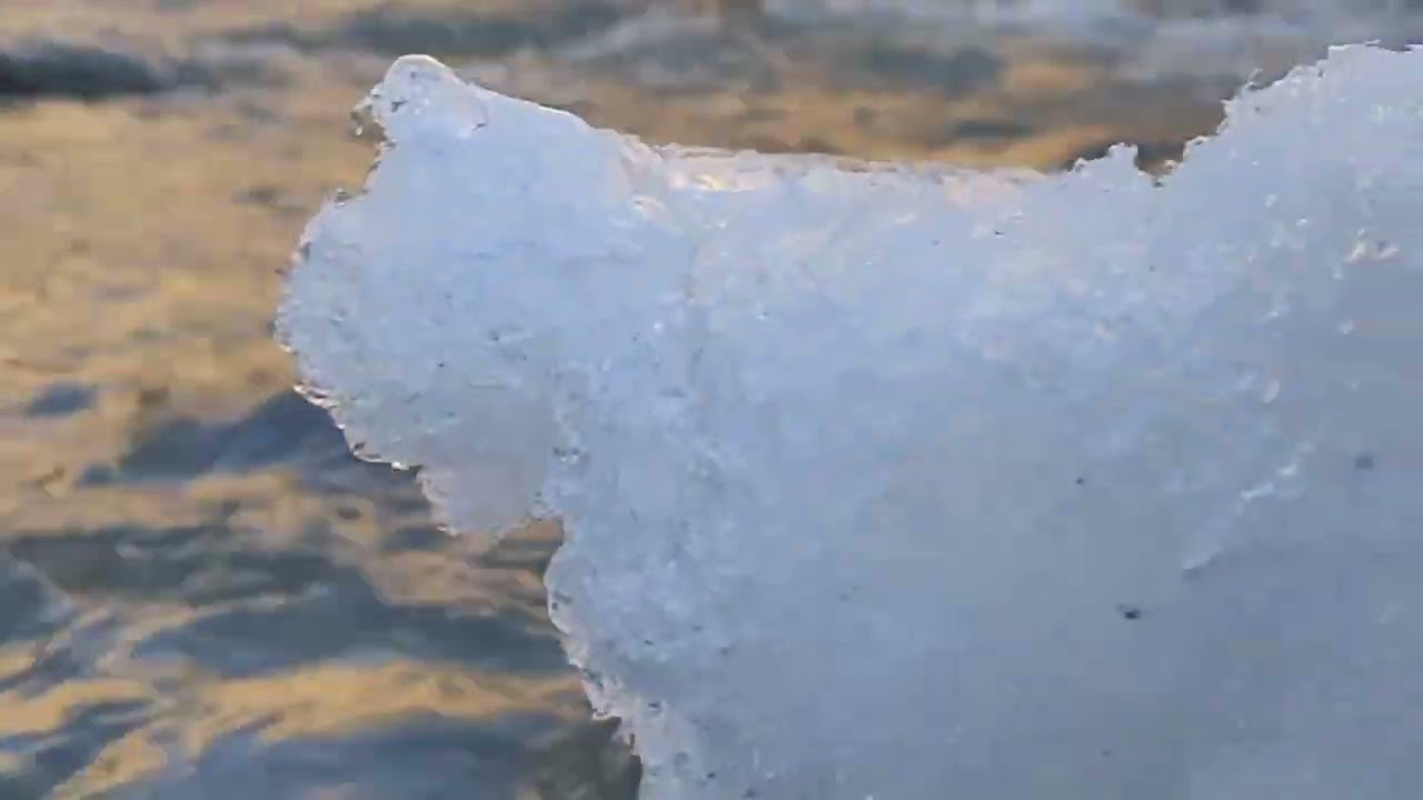 Best place to visit in india, best place in shimla and sikkim, mini vlog of shimla and sikkim.