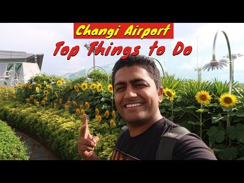 Top Things to do at Changi Airport Singapore | 5 Hours Transit