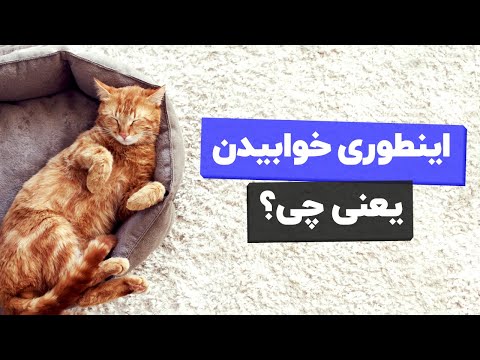 تصویری: چگونه گربه را باز کنیم