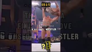 Rey Mysterios 619 Brock Lesnar F5 Explained 