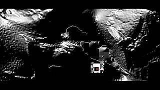 Prediluvian Antarctica | A Slideshow