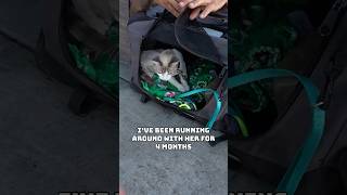 All He Wanted Was Cat Food