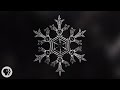 Identical Snowflakes? Scientist Ruins Winter For Everyone.  |  Deep Look