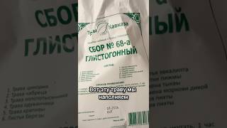 Секретный рецепт из Кавказа: как мы укрепили иммунитет без таблеток