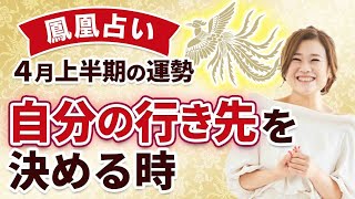 【鳳凰占い】4月上半期の運勢 自分の行き先を決める時