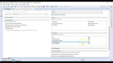 Port 8080 required by Pivotal tc Server Developer Edition