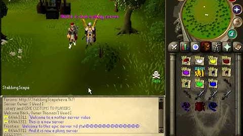 runescape private server (hamachi)